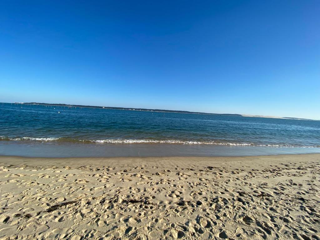 Lodge Cap Lège-Cap-Ferret Zewnętrze zdjęcie